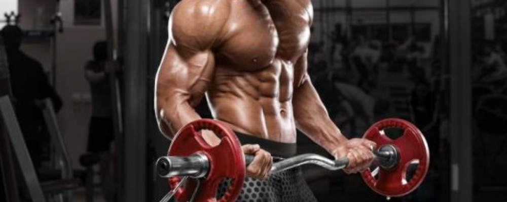 Your Guide to Affordable Bodybuilding Supplements